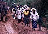 Congo (Zaire): Road Komanda-Beni in Eastern Congo: If the cars get stuck, the wedding parties have to walk