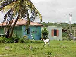 Anguilla: Lndliche Idylle in Sandy Ground