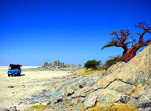 Botswana: Auf der Kubu-Insel an der Sua-Pfanne in den zentral-kalaharischen Makgadikgadi-Pfannen