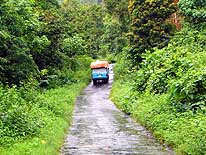 Rinjani/Lombok/Indonesia: Mountain track between Sembalun und Sapit