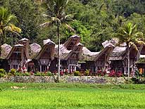 Ke'te Kesu near Rantepao/Sulawesi/Indonesia: Traditional Toraja village