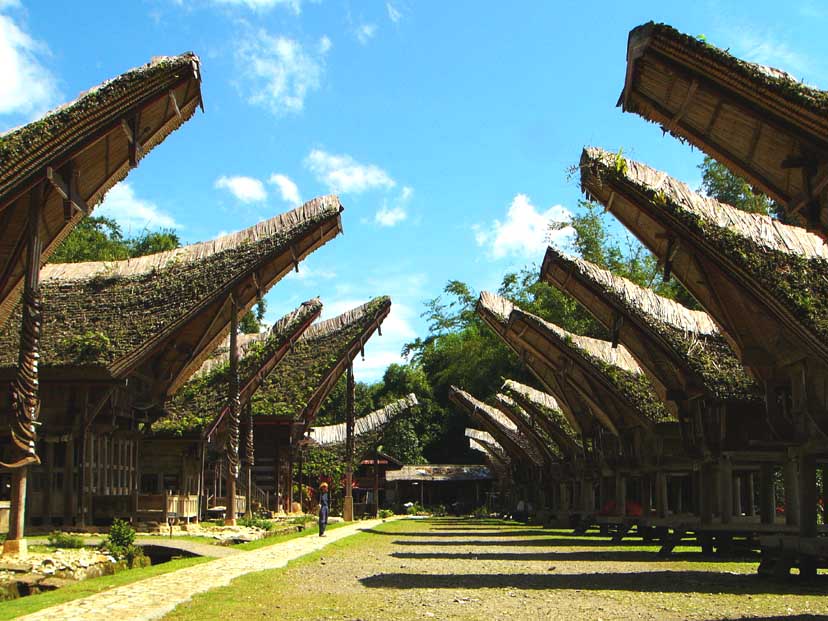 Bilder des fünften Teils unserer Indonesien-Reise in Tana Toraja in 