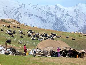 Iran/Zagros-Gebirge: Bakhtiari-Nomaden bei Chelgerd
