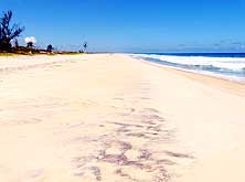 Madagascar/Vohitsara (East Coast): Endless beach towards Foulpointe (Mahavelona) in the North [the beach towards Tamatave (Toamasina) in the South looks exactly the same]