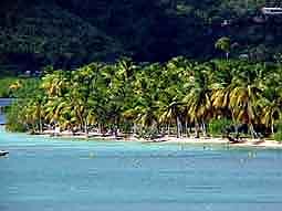 Martinique: "Südseestrand" bei Ste-Anne