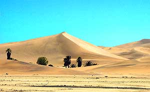 Namibia/Walvis Bay: Dune No. 7