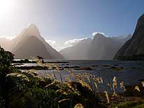 Neuseeland/Sdinsel: Abendstimmung am Milford Sound