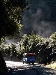 New Zealand: The 'Forgotten Highway 43' (Stratford-Taumarunui): Lifting morning fog in the Tangarakau Gorge