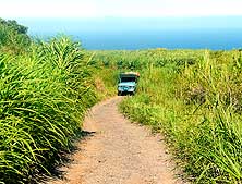 Réunion: On the way to 'Piton de Mont Vert' between Saint-Pierre and Petit-Île in the South