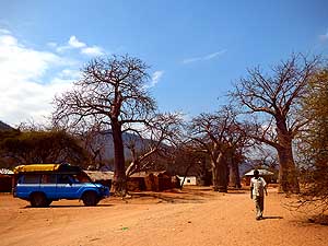 Tanzania/Mbuyuni: Baobab Valley